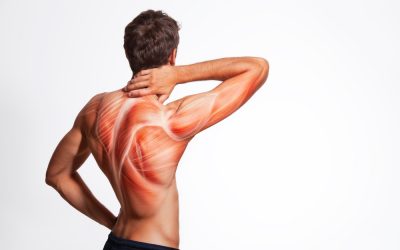 The 8 Most Common Causes of Back Muscle Pain