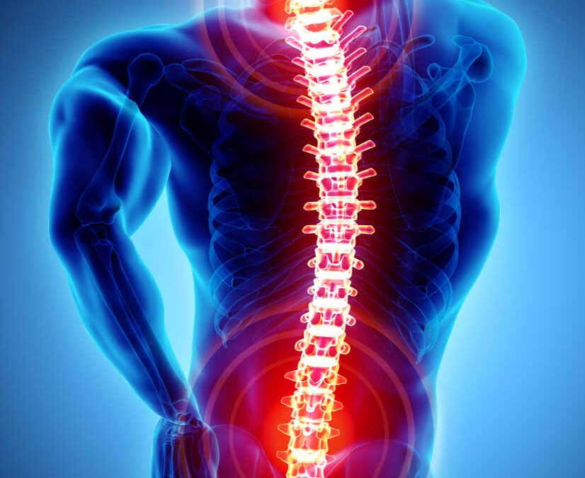 3d diagram of a red spine in a blue body indicating spine pain that may be resolvable with ESS.