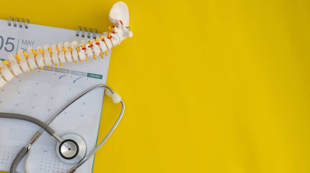 Human spine model placed next to stethoscope and calendar set against a yellow background displaying the concept of spine surgery recovery time